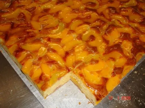 Krumbein KSSM kakekutter