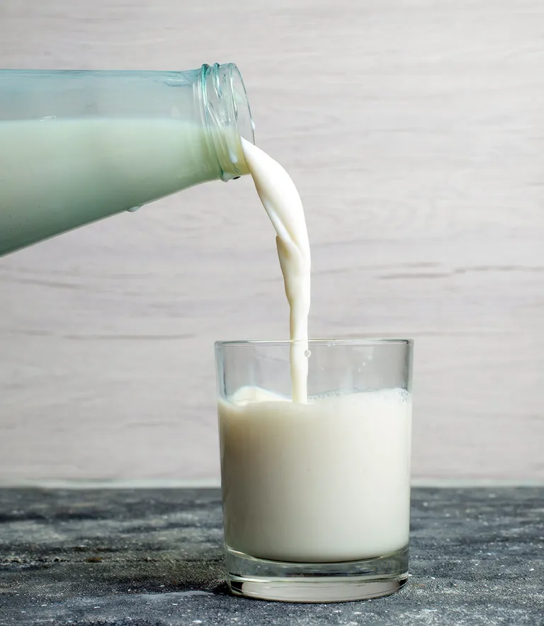 Modulbasert fyllemaskin - Melk og yoghurt 