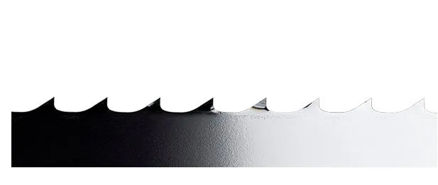 Sagblad 2904x19x0,56 CT