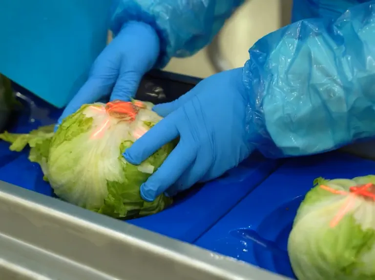 Hitec DCM Series, Single or Twin Line.